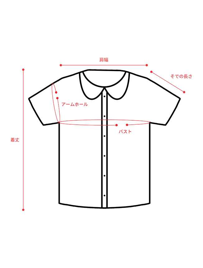 AIMER】3Dフラワー刺繍ボリュームスリーブブラウス×フィット＆フレア